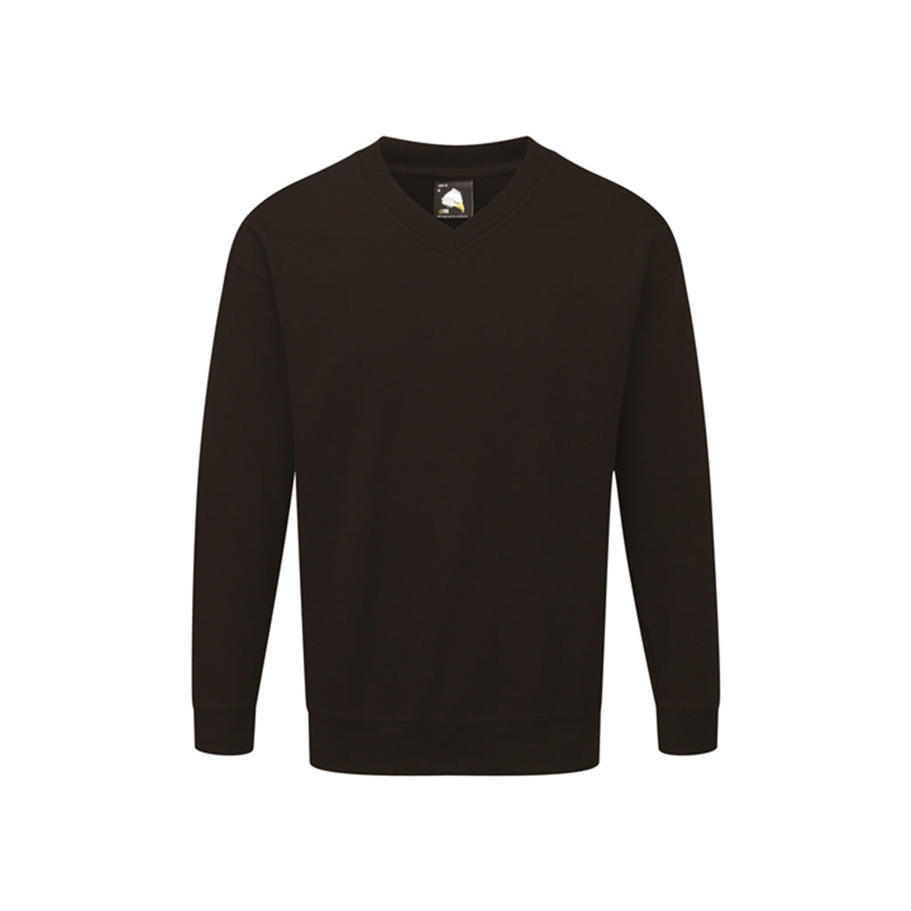 Buzzard V-Neck Sweatshirt